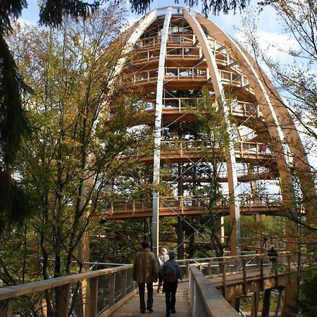 Haus Beate, Fewo Im Bienenparadies Kirchberg  Eksteriør billede