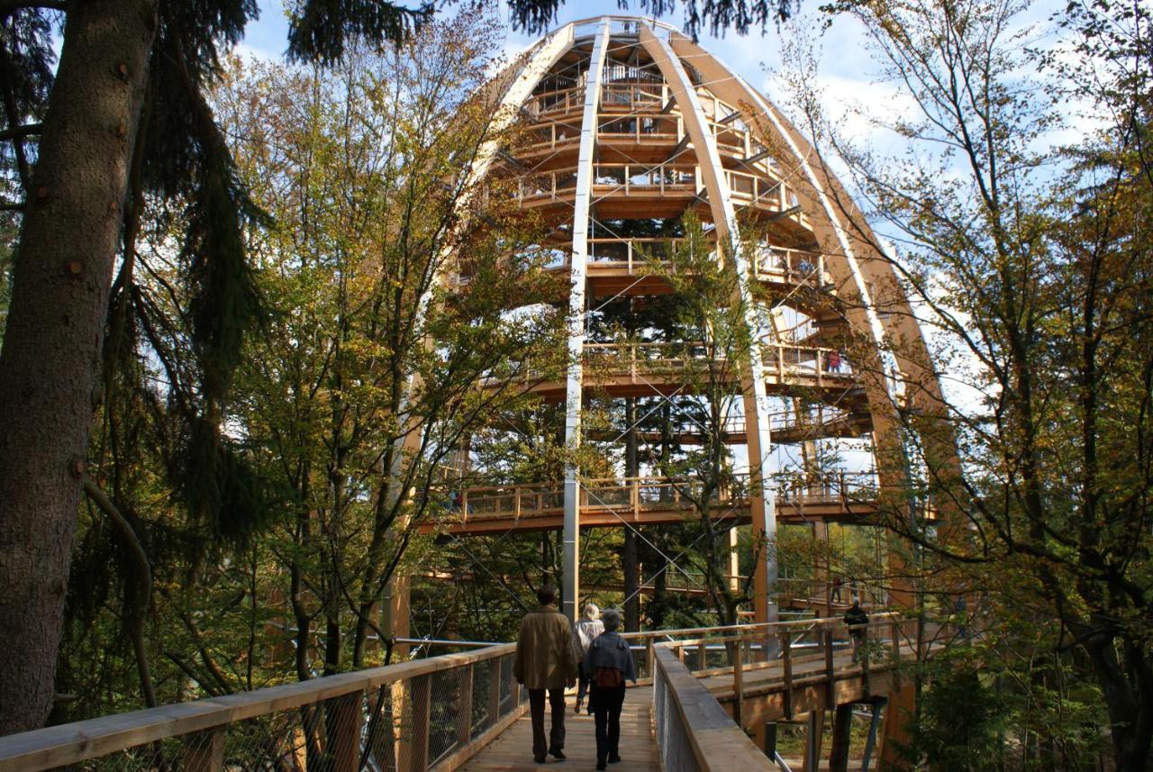 Haus Beate, Fewo Im Bienenparadies Kirchberg  Eksteriør billede